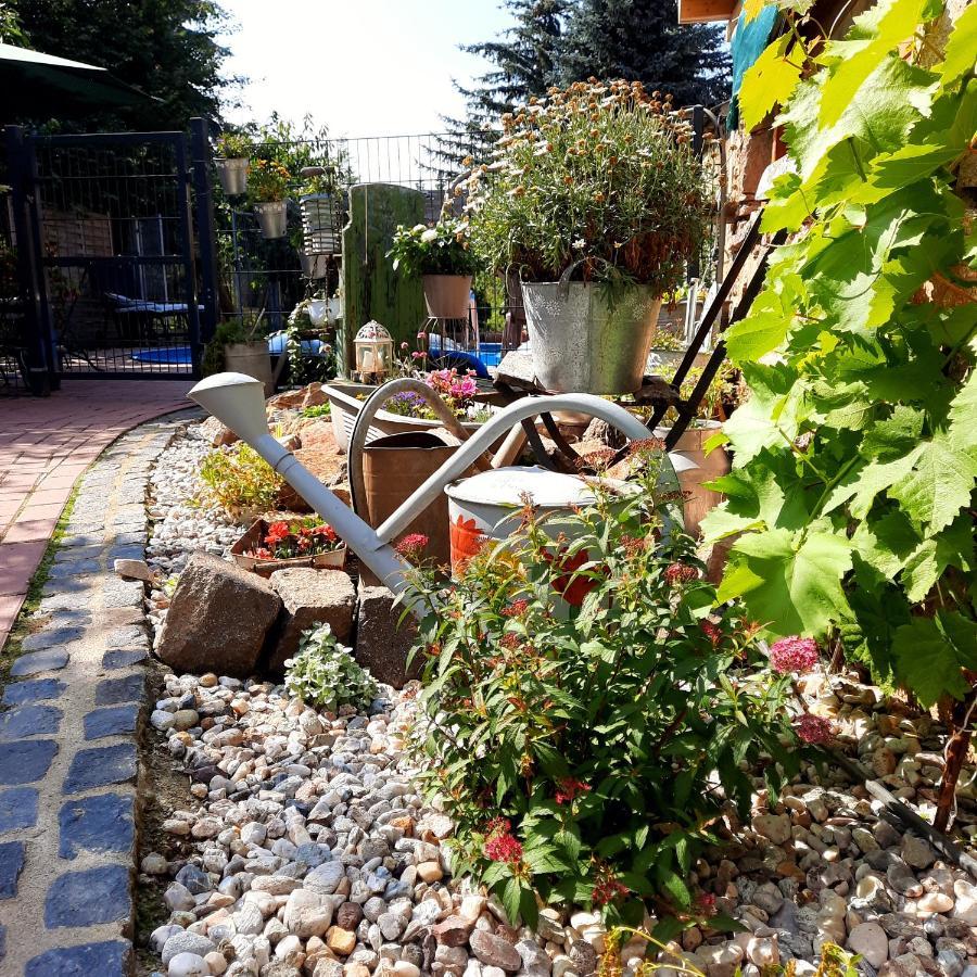 Gaestewohnung Am Thuemmlitzwald *